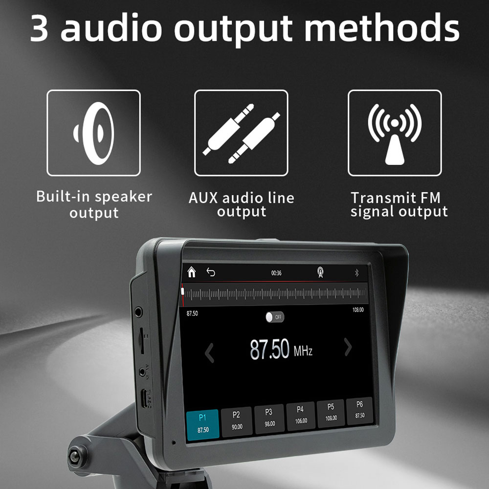 Lettore Multimediale per Auto  - Audio Music Image recensione e prezzo